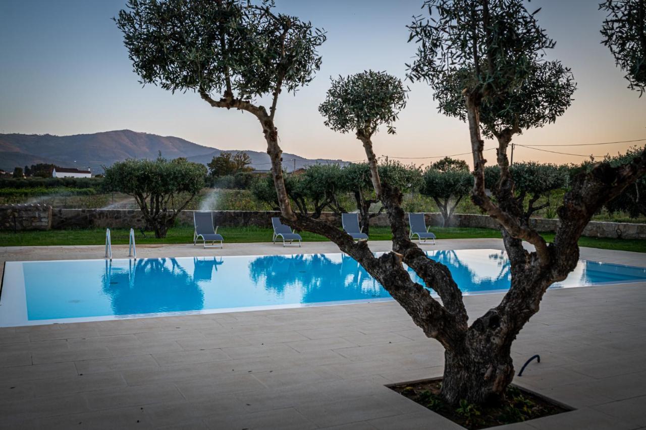 Quinta Das Oliveiras Turismo Rural Fundão Exteriér fotografie