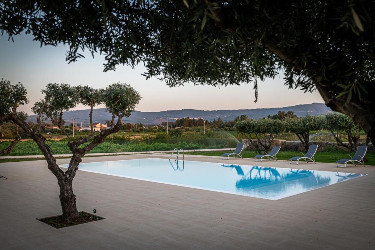 Quinta Das Oliveiras Turismo Rural Fundão Exteriér fotografie