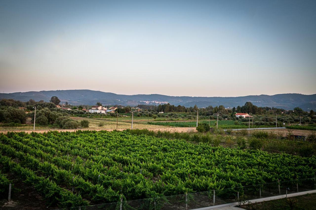 Quinta Das Oliveiras Turismo Rural Fundão Exteriér fotografie