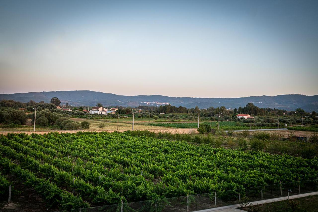 Hotel Quinta Das Oliveiras Turismo Rural Fundão Exteriér fotografie