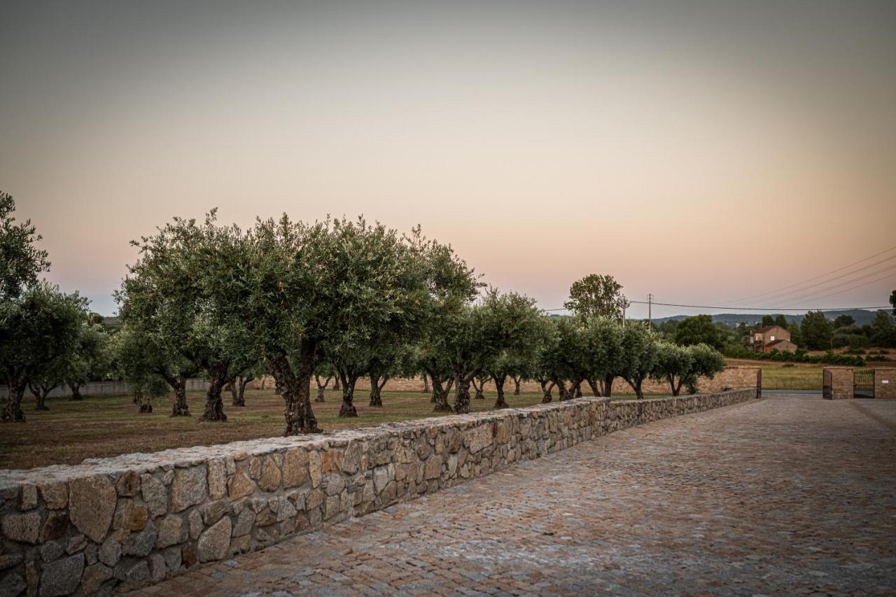 Quinta Das Oliveiras Turismo Rural Fundão Exteriér fotografie