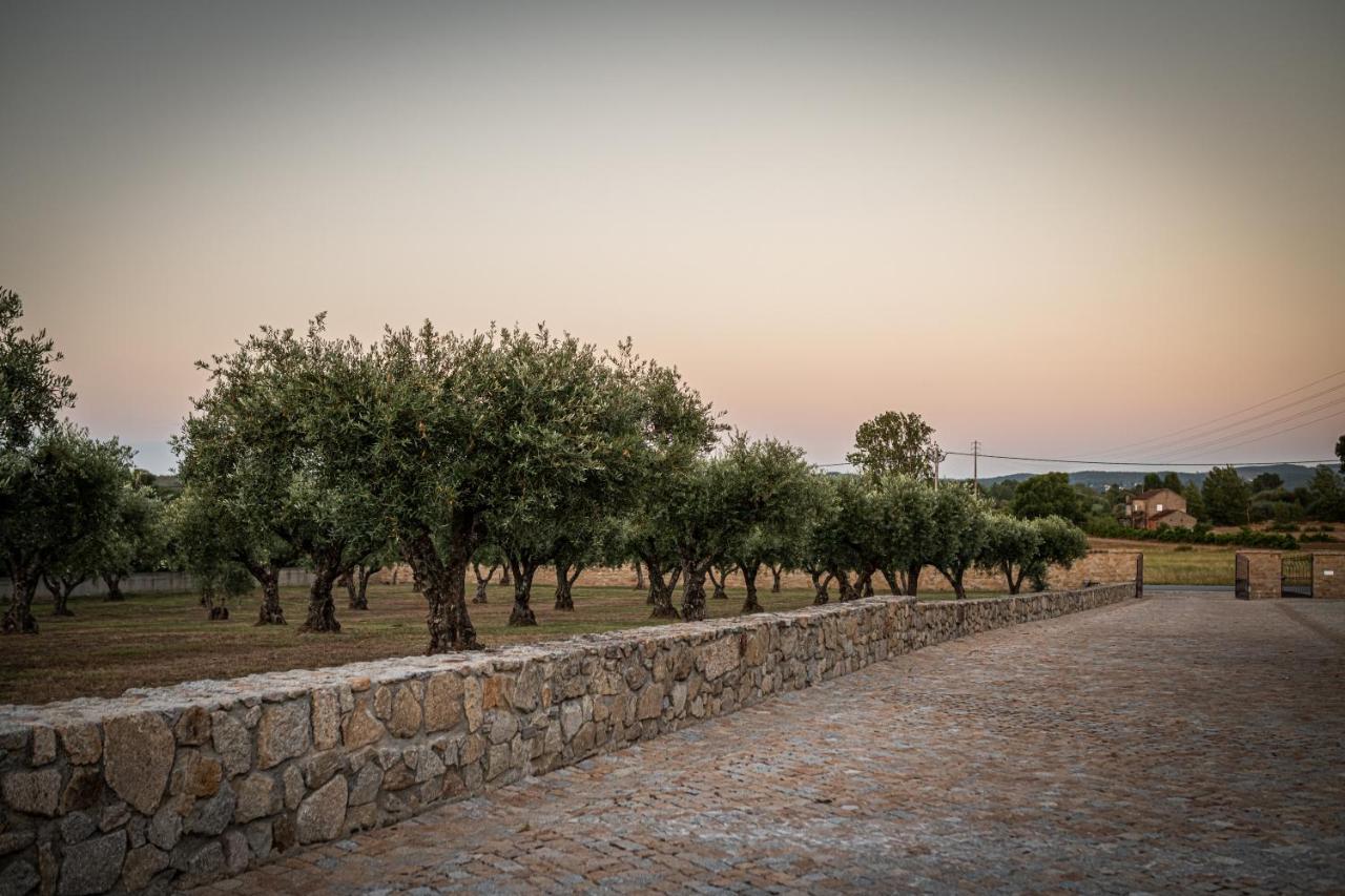 Hotel Quinta Das Oliveiras Turismo Rural Fundão Exteriér fotografie