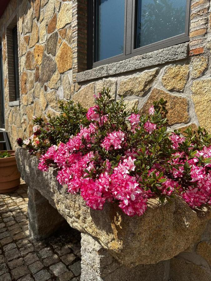 Quinta Das Oliveiras Turismo Rural Fundão Exteriér fotografie